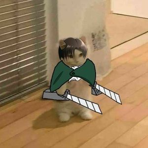 Meet your Posher, Diana